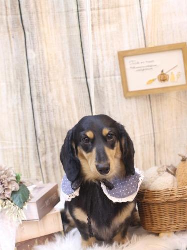 20231023おうたくん